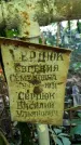 Захоронение ID 1281959