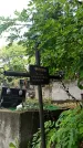 Захоронение ID 1281973