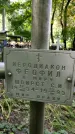 Захоронение ID 1282010
