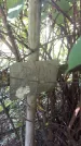 Захоронение ID 1282048