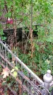 Захоронение ID 1282074