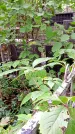 Захоронение ID 1282075