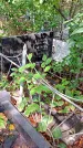 Захоронение ID 1282101