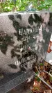 Захоронение ID 1282104
