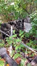 Захоронение ID 1282105