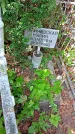 Захоронение ID 1282125