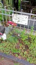 Захоронение ID 1282149
