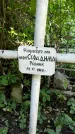 Захоронение ID 1282199