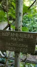 Захоронение ID 1282207