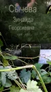 Захоронение ID 1282234
