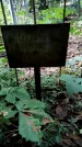 Захоронение ID 1282252