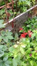 Захоронение ID 1282301