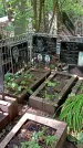 Захоронение ID 1282324