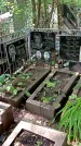 Захоронение ID 1282326