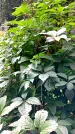Захоронение ID 1282372