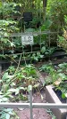 Захоронение ID 1282383