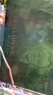 Захоронение ID 1282425