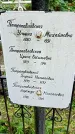 Захоронение ID 1282439