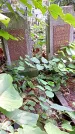 Захоронение ID 1282444