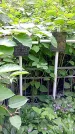 Захоронение ID 1282453