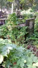 Захоронение ID 1282466