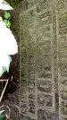 Захоронение ID 1282472