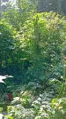 Захоронение ID 1282478
