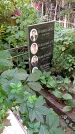 Захоронение ID 1282518