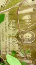 Захоронение ID 1282523
