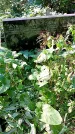 Захоронение ID 1282526
