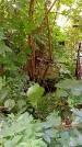 Захоронение ID 1282530