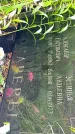 Захоронение ID 1282551