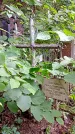 Захоронение ID 1282577