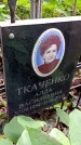 Захоронение ID 1282581