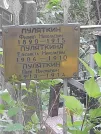 Захоронение ID 1282587