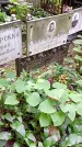 Захоронение ID 1282591