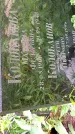Захоронение ID 1282608
