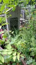 Захоронение ID 1282610
