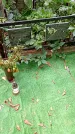 Захоронение ID 1282624