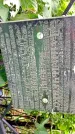 Захоронение ID 1282625