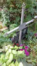 Захоронение ID 1282626