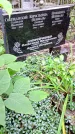 Захоронение ID 1282635