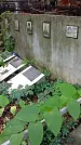 Захоронение ID 1282644