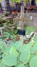 Захоронение ID 1282649