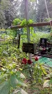 Захоронение ID 1282669