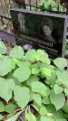 Захоронение ID 1282690