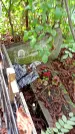 Захоронение ID 1282707