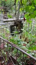 Захоронение ID 1282736