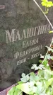 Захоронение ID 1282751