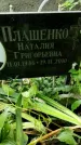 Захоронение ID 1282756